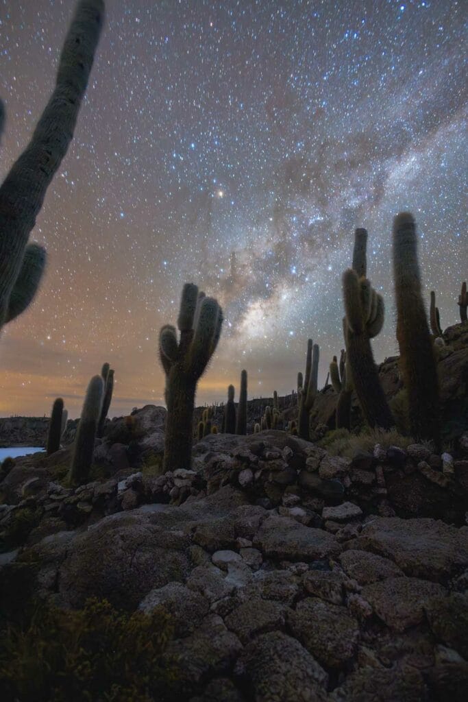 Antes: capturas del cielo y el paisaje de cactus sin alinear