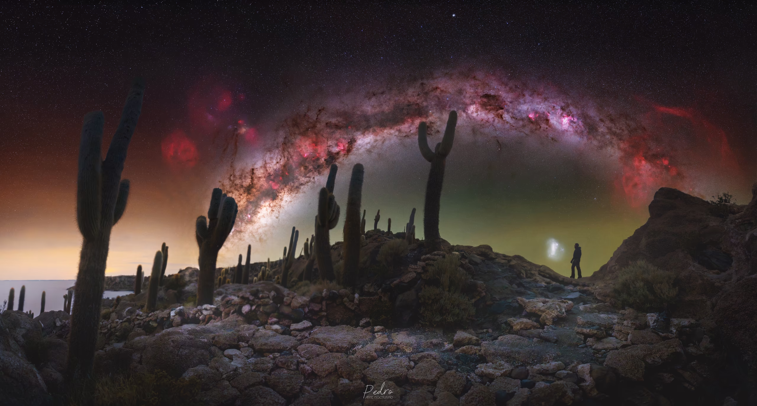 Cactus sobre terreno rocoso bajo la Vía Láctea, con una persona a lo lejos.